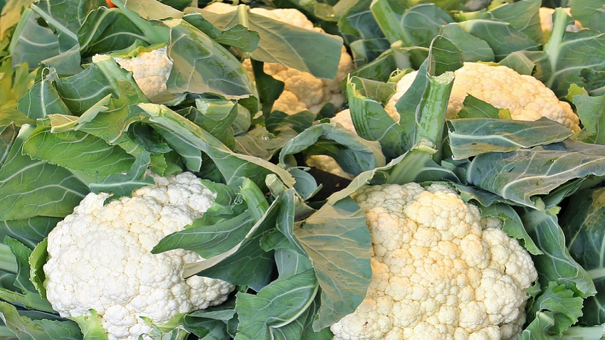 Cauliflower stem