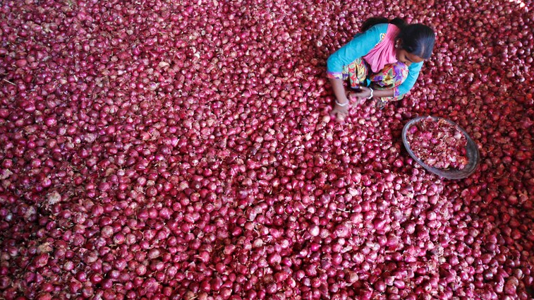 Onion Price In Delhi