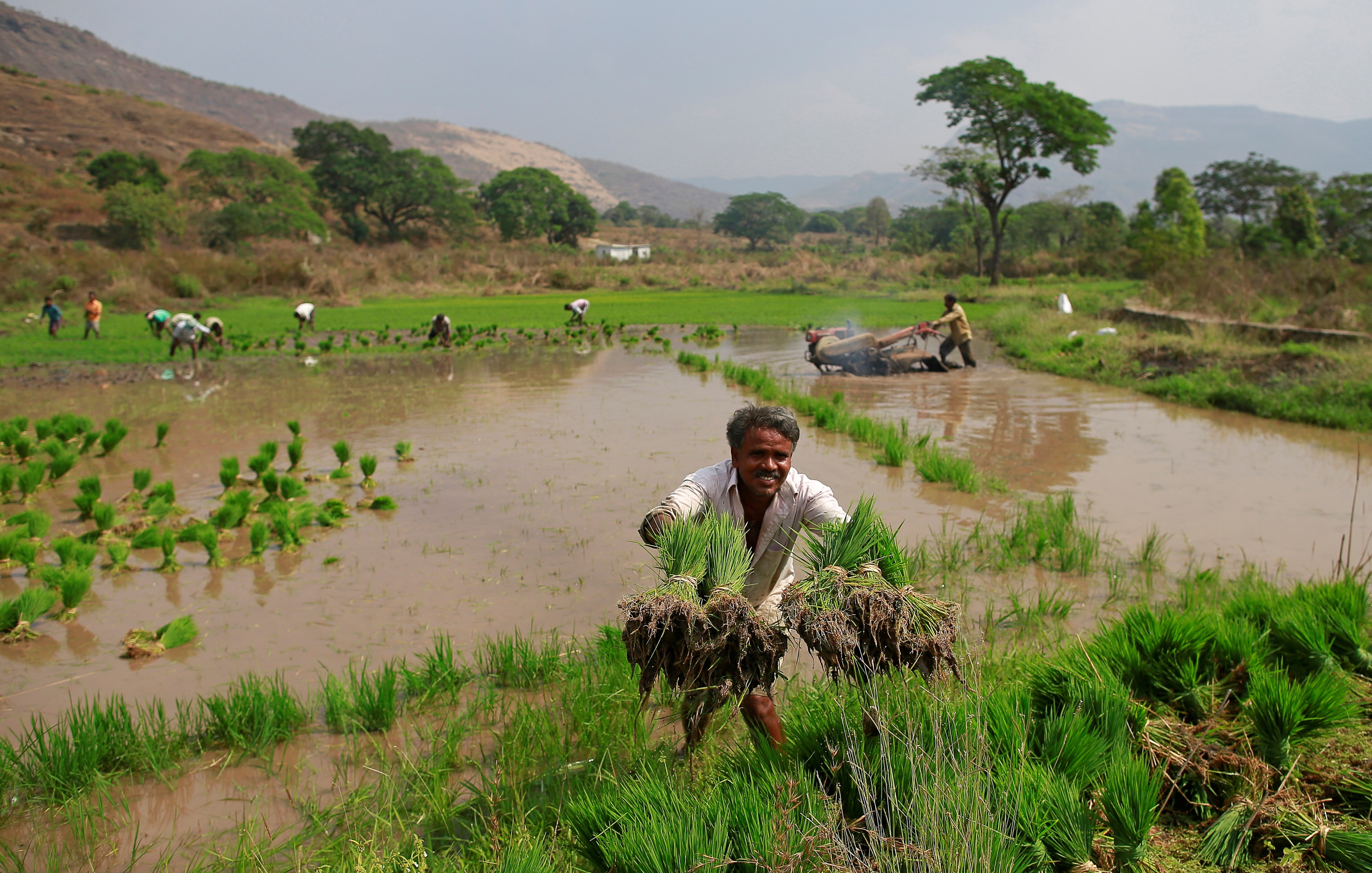 Why Indian farmers worry despite 'average' monsoon rains