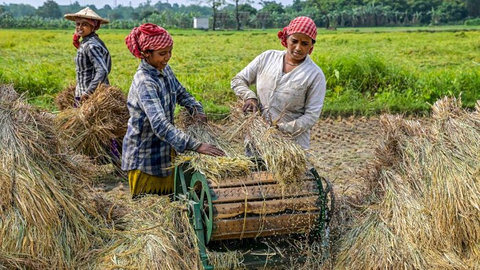 CM Yogi to gift Mukhya Mantri Khet Suraksha Yojana to all farmers of UP 