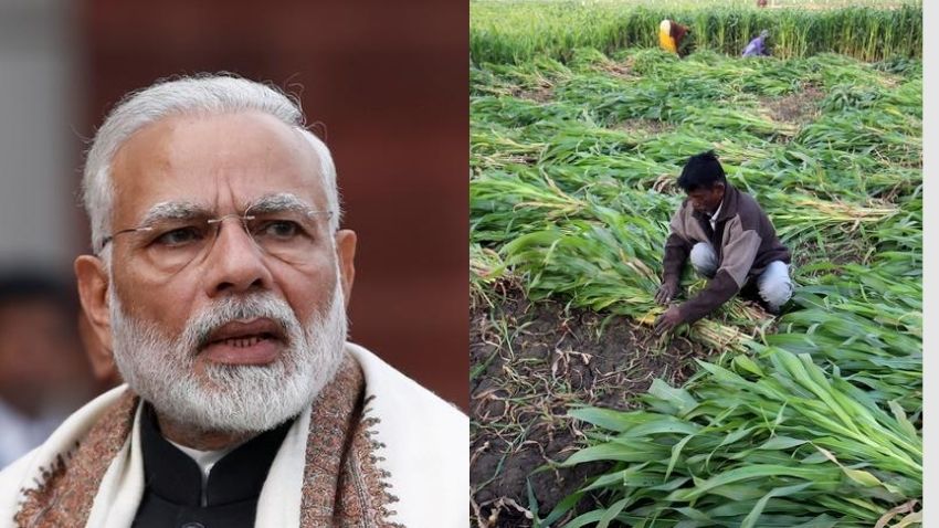 PM Kisan Yojana: Beneficiaries under Prime Minister Kisan Samman Nidhi rise to 8.11 crore in March 2023