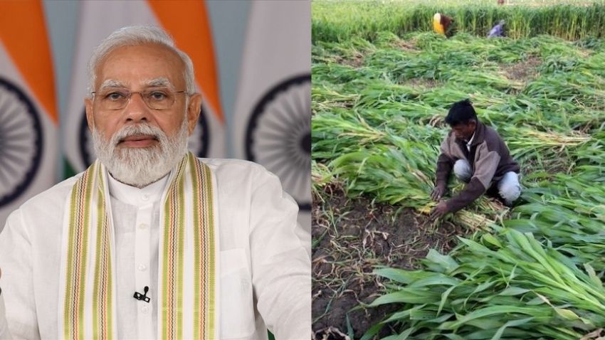 PM Kisan 14th Installment date announced: Beneficiaries to receive Rs 2000 THIS week - Check date, status, other details