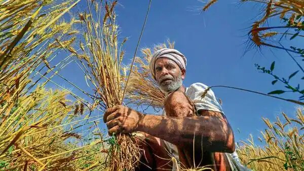 PM Modi to transfer Kisan-Samman Nidhi to 9 crore farmers from Rajasthan's Sikar on July 27