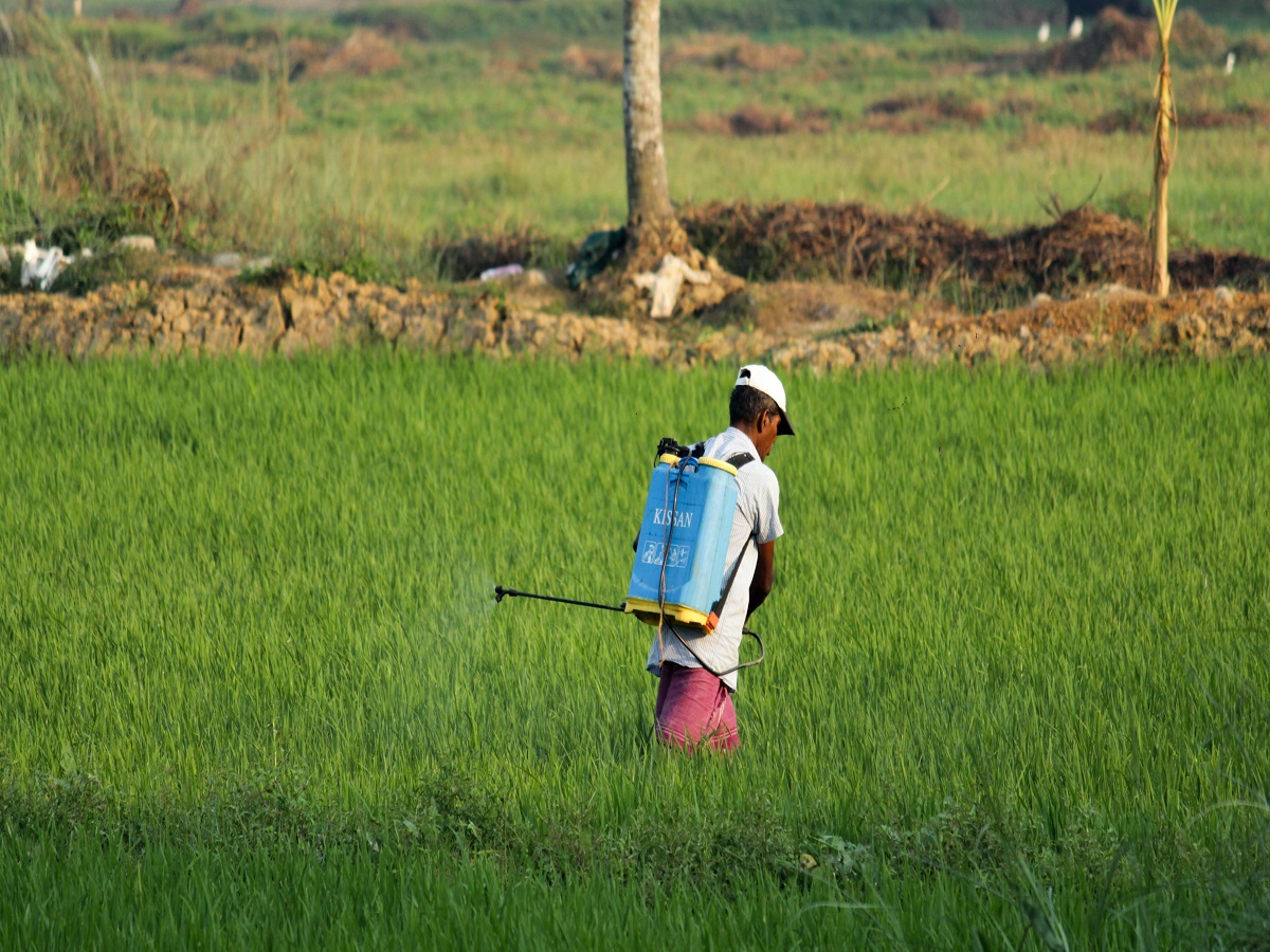 Insecticides India posts subdued Q1 results; management says company will do well in Q2 FY24 