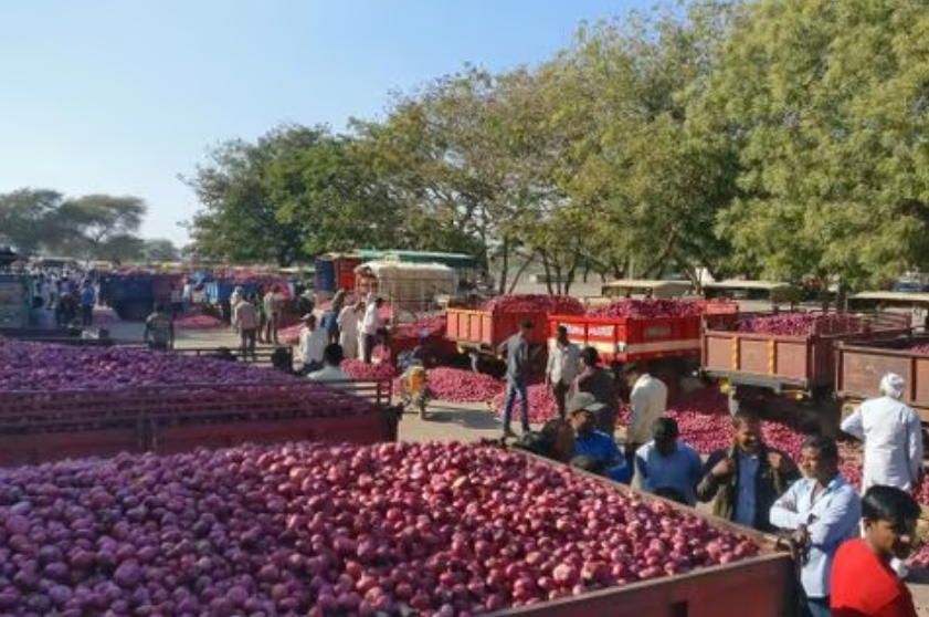 Additional 2 lakh tonnes onion procurement from farmers starts in Maharashtra