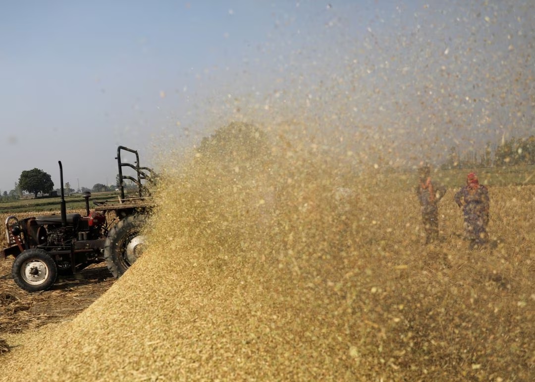 Centre allows traders to export non-basmati rice trapped at ports under certain conditions