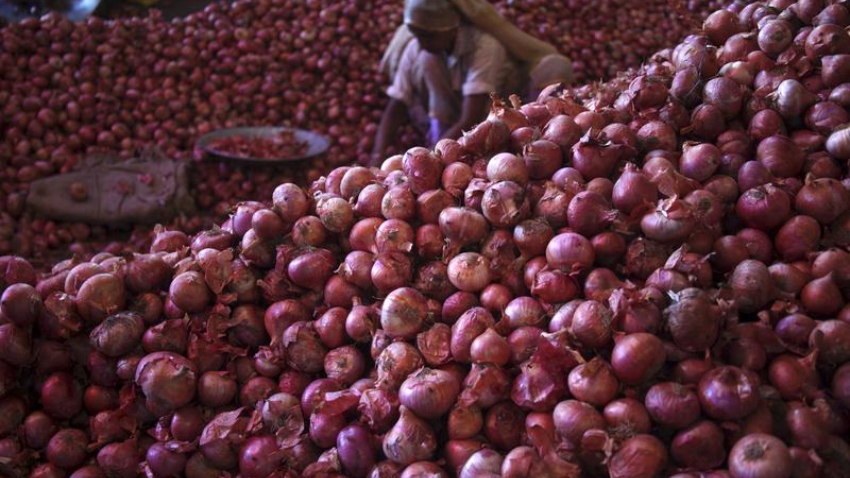 Government exempts 'Bangalore Rose' onion from export duty