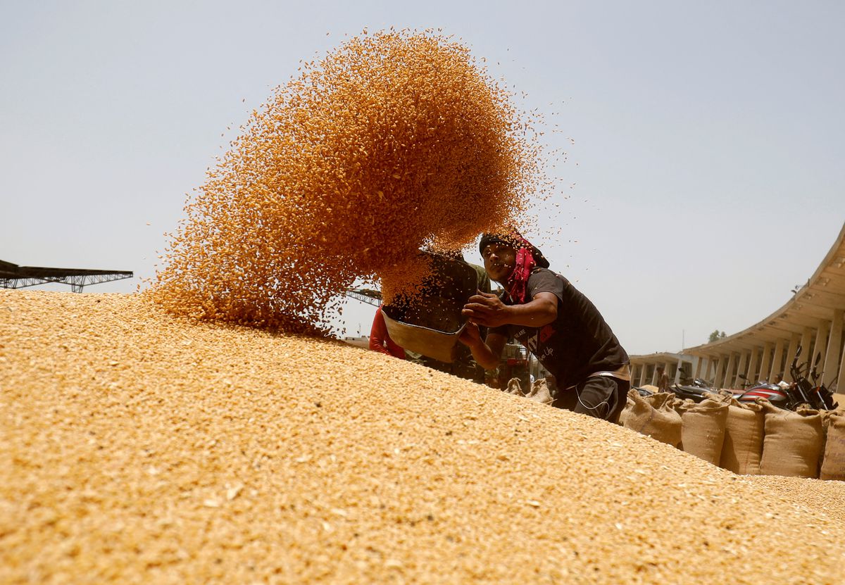 FCI sells 4.29 lakh MT of wheat, 14,760 MT of rice in Bengal through e-auction