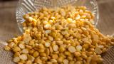 Pulses imports may rise to 5 MT in April-December of FY17 