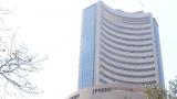 Sensex, Nifty trade in green as US election looms 