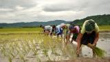 Demonetisation: Finance Ministry allows farmers to buy seeds using old notes