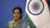 Sushma meets new Asean Secretary General