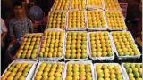 Akshaya Tritiya spirits dampened as mango prices soar on low supply