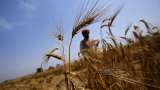 Farm loan latest news! Incentives extended to farmers for crop loans