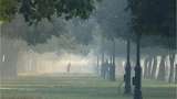 Delhi Diwali weather, pollution alert! Firecrackers may push it to severe zone; rains likely on Sunday