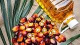 Commodities Live: Palm Oil Prices Fall Down Over 20% In 2 Days