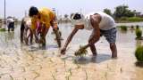 Kharif 2022: Paddy area down 13% so far due to deficient rains in West Bengal, Jharkhand, Bihar and Chhattisgarh