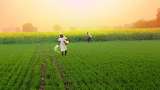 Commodity Superfast: Cabinet Approves Interest Subvention Of 1.5% On Short Term Agri Loan Up To Rs 3 Lakh