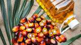 Commodities Live: Why Palm Oil Prices Are Rising? Which Commodity Will Give More Returns In The New Samvat?