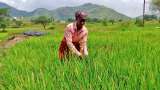 Govt's paddy procurement up 9% at 306 lakh tonnes in 2022