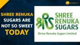 Buy, Sell or Hold: Shree Renuka Sugars share price falls over 3% intraday--Check Details Here 