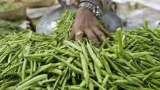 Commodities Live: Guar Gum Futures Hits Upper Circuit Of 6%, Price Crossed Rs 13,500 On NCDEX