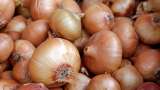 After Maharashtra, NAFED to buy onions from Gujarat to check prices in wholesale market