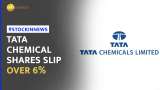 Tata Chemical shares slump 6% after the Tata Group firm slashes soda ash price