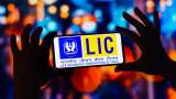 LIC&#039;s  Impressive Market Cap and Profits Revealed -- WATCH VIDEO