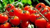 Cooperative NCCF to sell tomatoes via mobile vans in Delhi-NCR at Rs 90/kg: Government officials