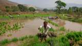 Why Indian farmers worry despite 'average' monsoon rains