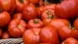 Tomato price: Govt reduces prices of subsidised tomatoes by Rs 10/kg to provide relief to common man | Check new rates