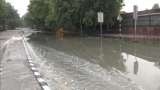 Flood water from Mahatma Gandhi memorial at Rajghat completely pumped out, say officials