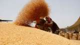 World wheat prices rise in July: FAO