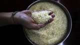 India exporting 75,000 tonnes non-basmati rice to UAE