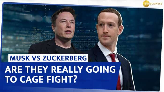 &quot;I Will Start Training Soon...&quot; Elon Musk&#039;s Big Reveal On The &#039;Cage Match&#039; With Mark Zuckerberg